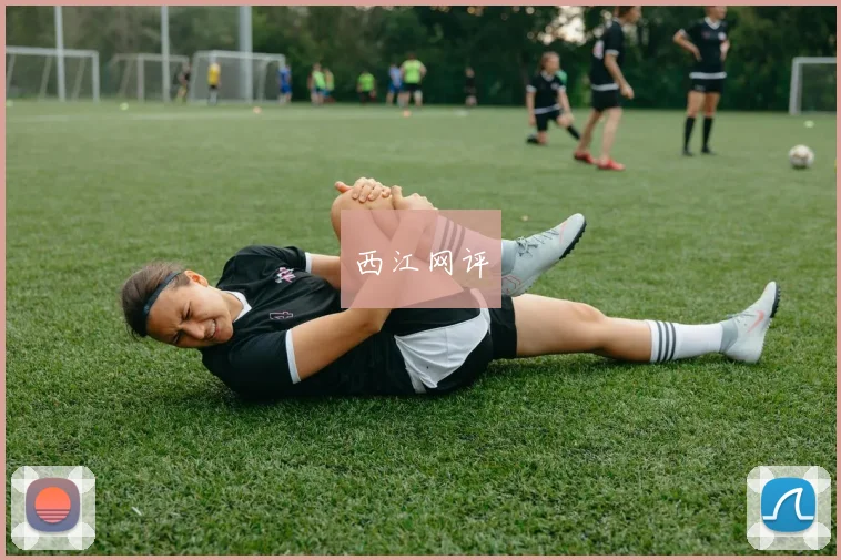 西江网评
