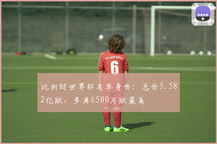 比利时世界杯名单身价：总价5.582亿欧，多库6500万欧最高