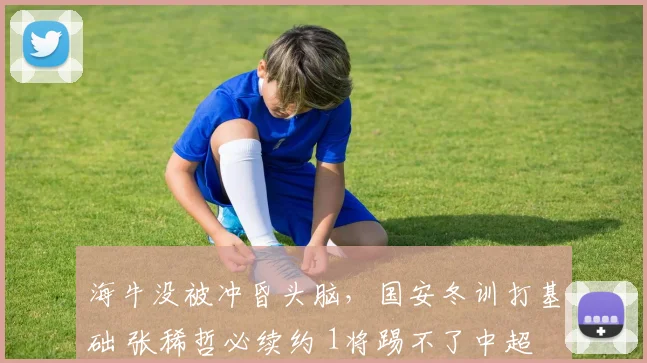 海牛没被冲昏头脑，国安冬训打基础 张稀哲必续约 1将踢不了中超